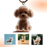 Pet Hair Memory Keychain – A Heartfelt Tribute