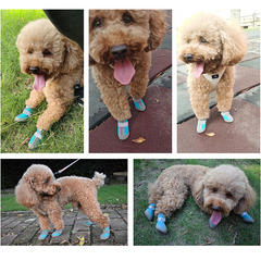Dog Shoes for Hot Pavement – 360° Paw Protection