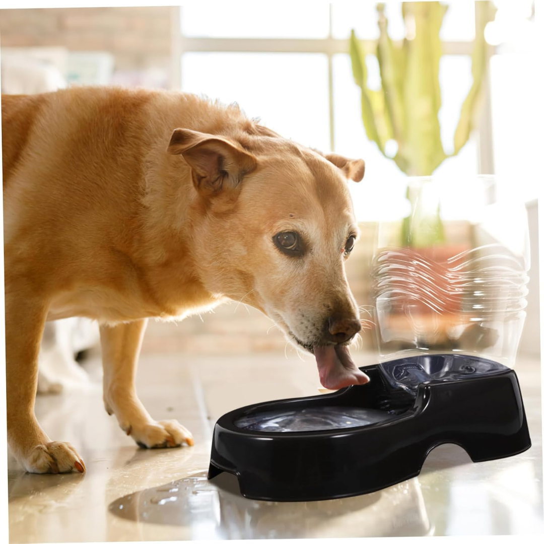 Pet Dog Cat Waterer Automatic Dispenser, Dog Cat Drink Water Gravity Large Bowl