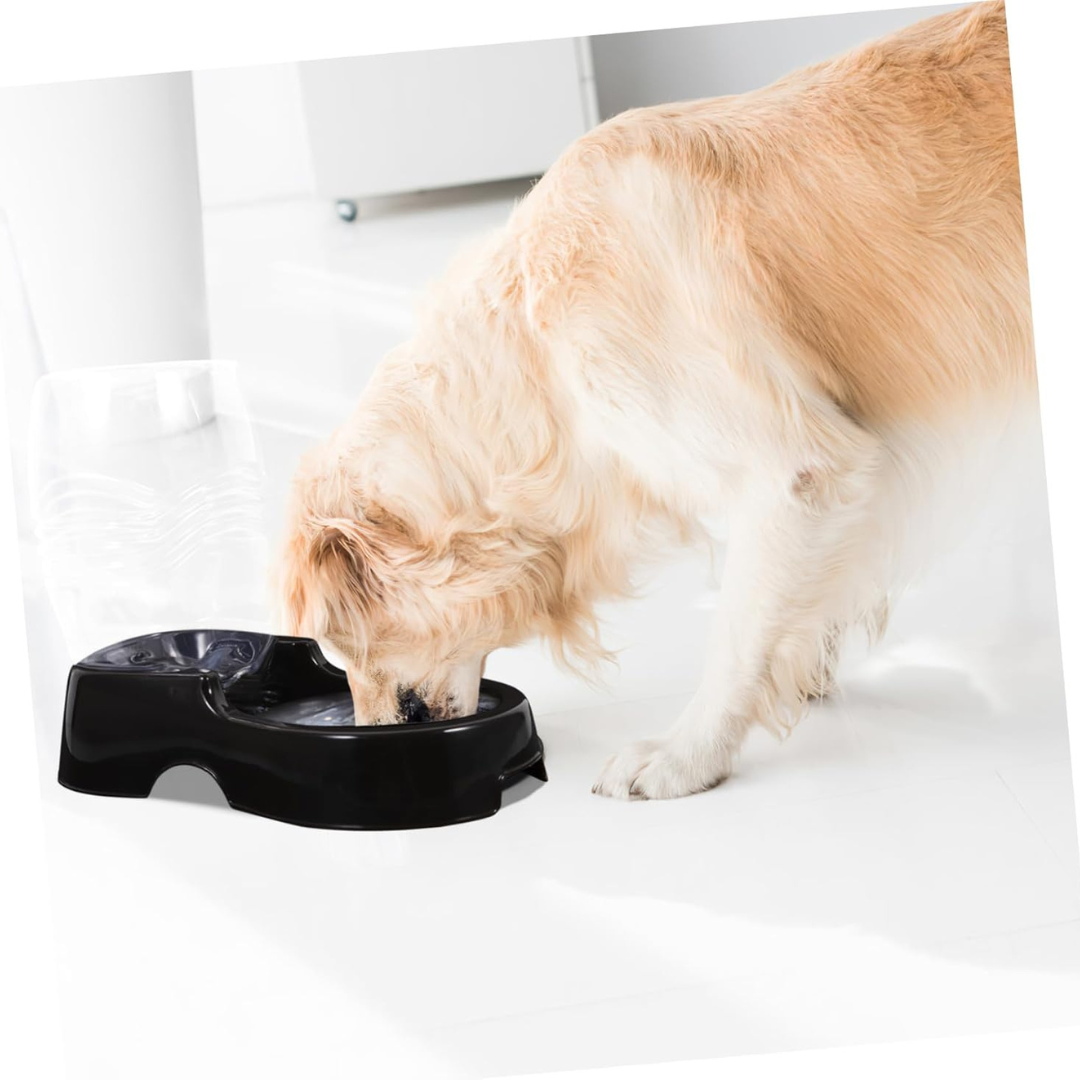 Pet Dog Cat Waterer Automatic Dispenser, Dog Cat Drink Water Gravity Large Bowl