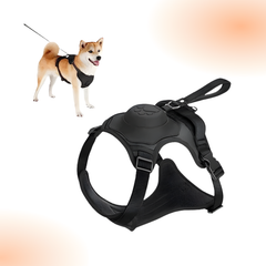Dog Harness and Automatic Retractable Leash Kit