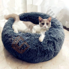  Pet Bed
